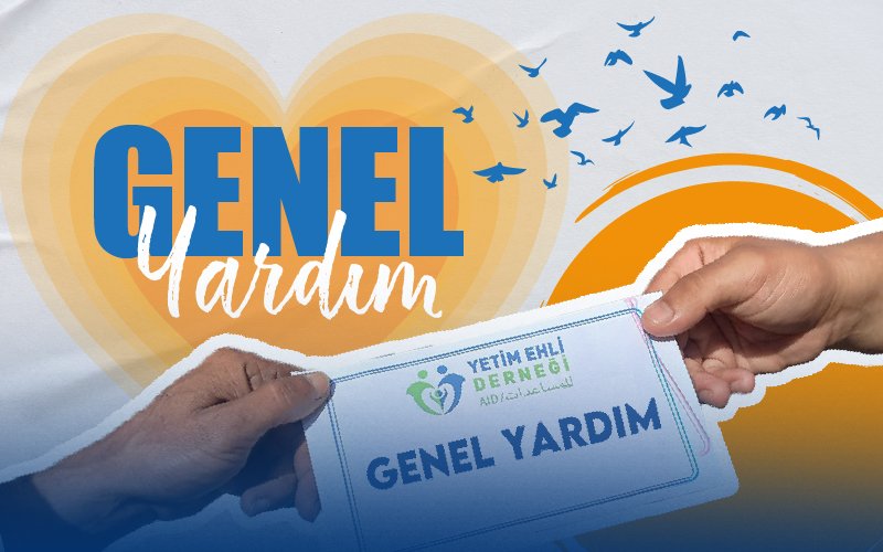 General Assistance Projects