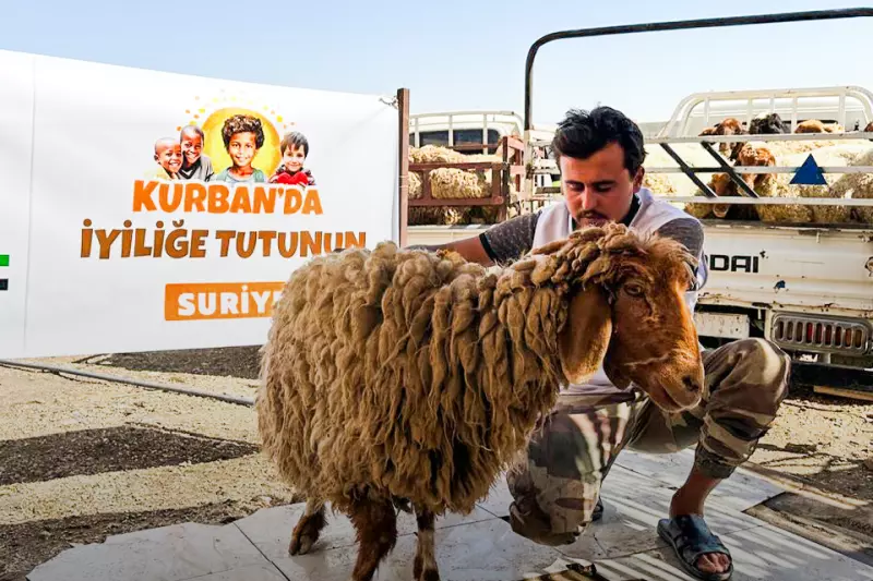Küçükbaş Kurban